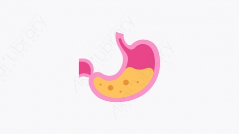 图片素材-046_胃_stomach