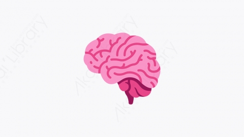 图片素材-048_大脑_brain