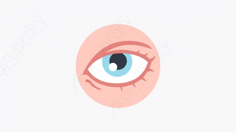 图片素材-052_眼睛_eye