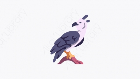 图片素材-001_角雕_harpy_eagle