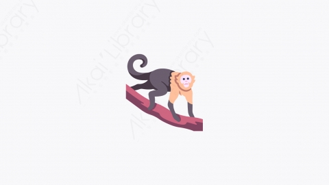 图片素材-005_卷尾猴_capuchin