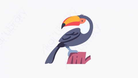 图片素材-007_巨嘴鸟_toucan