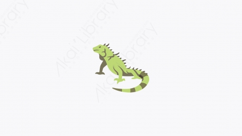 图片素材-008_鬣蜥_iguana
