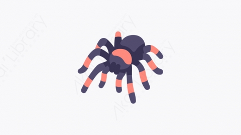 图片素材-012_狼蛛_tarantula