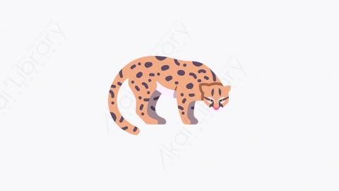 图片素材-024_野猫_wildcat