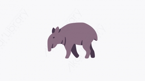 图片素材-025_塔皮尔_tapir