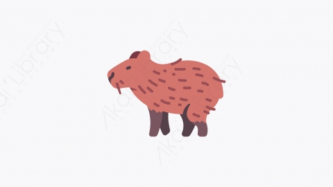 图片素材-026_水豚_capybara