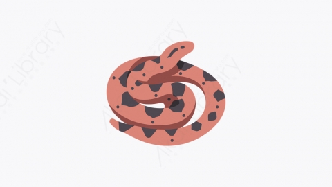 图片素材-028_蛇_snake