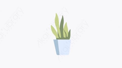 图片素材-007_蛇形植物_snake_plant