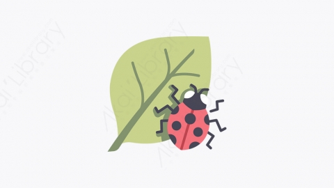 图片素材-042_瓢虫_ladybug