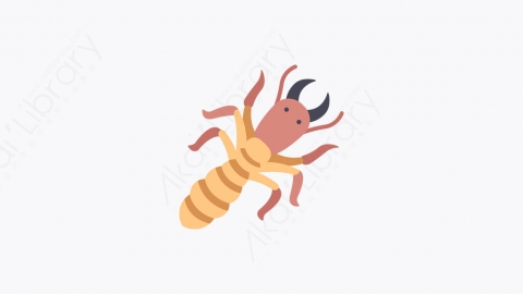 图片素材-045_白蚁_termite