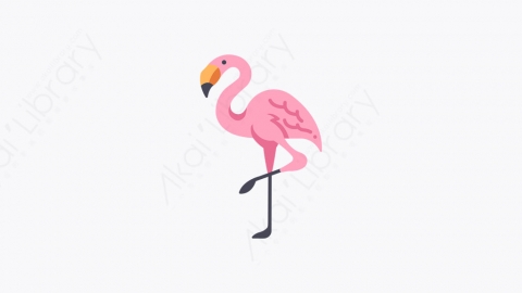 图片素材-047_火烈鸟_flamingo