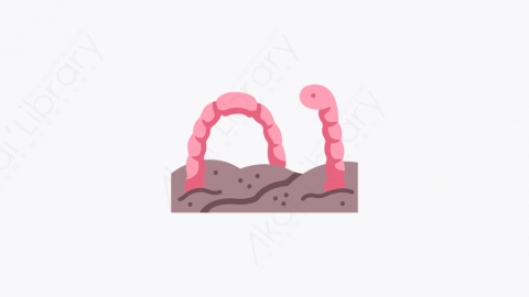 图片素材-052_蚯蚓_earthworm