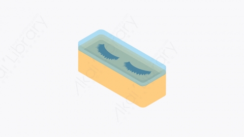 图片素材-039_睫毛_eyelashes