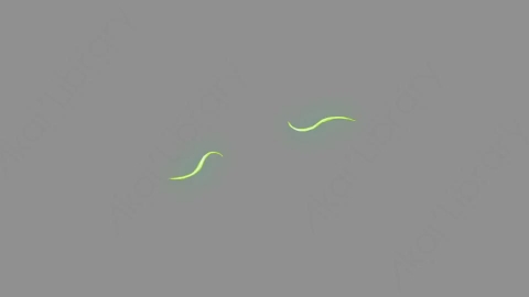 AE模板-卡通二维能量火焰闪电元素Effects_37