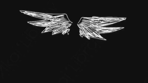AE模板-卡通手绘翅膀动画元素Wings_01