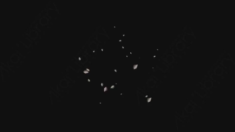 AE模板-卡通动态漫画石头碎片元素Elements_-_Debris_007_Explosion_Radial_noCT_noRSZ