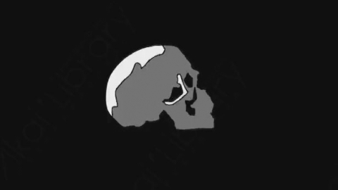 AE模板-卡通手绘骨头头骨动画元素Skull_03