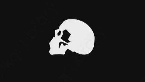 AE模板-卡通手绘骨头头骨动画元素Skull_04
