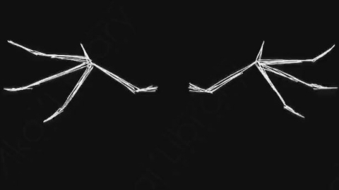 AE模板-卡通手绘翅膀动画元素Wings_04