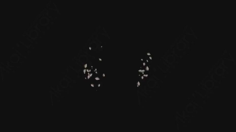 AE模板-卡通动态漫画石头碎片元素Elements_-_Debris_015_Explosion_Radial_Up_noCT_noRSZ