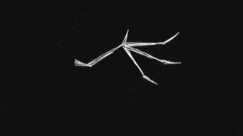 AE模板-卡通手绘翅膀动画元素Wings_05