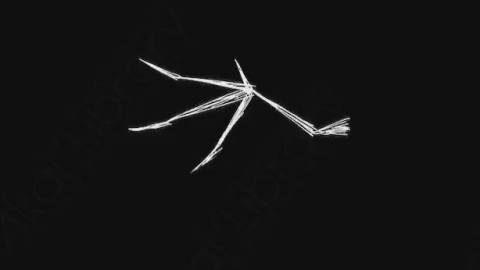 AE模板-卡通手绘翅膀动画元素Wings_06