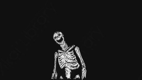 AE模板-卡通手绘骨头骨架动画元素Skeleton_09