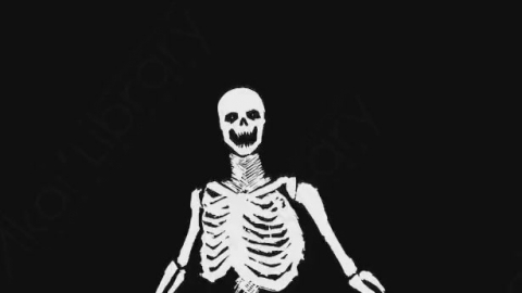 AE模板-卡通手绘骨头骨架动画元素Skeleton_10