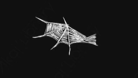 AE模板-卡通手绘翅膀动画元素Wings_12