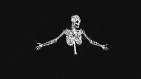 AE模板-卡通手绘骨头骨架动画元素Skeleton_13