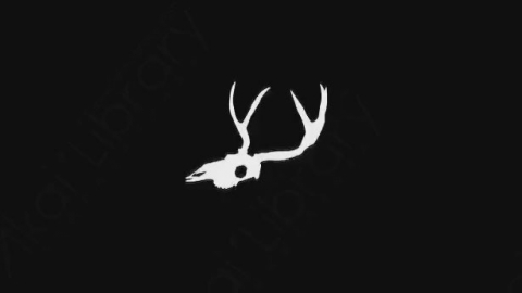 AE模板-卡通手绘骨头头骨动画元素Skull_13