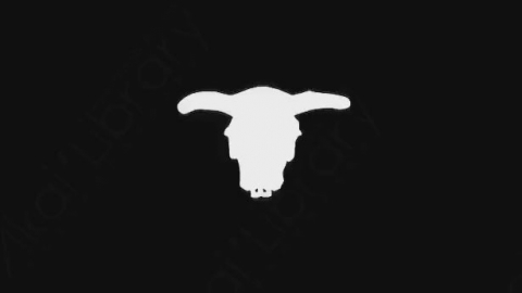 AE模板-卡通手绘骨头头骨动画元素Skull_14