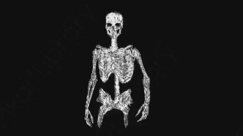 AE模板-卡通手绘骨头骨架动画元素Skeleton_18