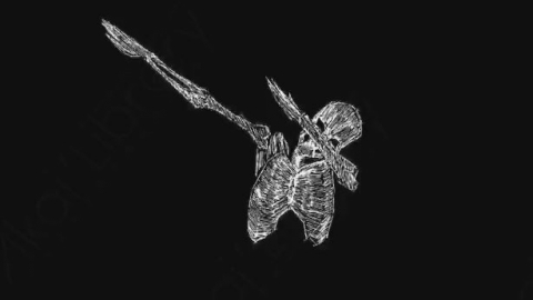 AE模板-卡通手绘骨头骨架动画元素Skeleton_20