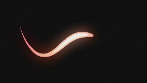 AE模板-卡通手绘动态水滴线条元素Blobs_(G2)_6