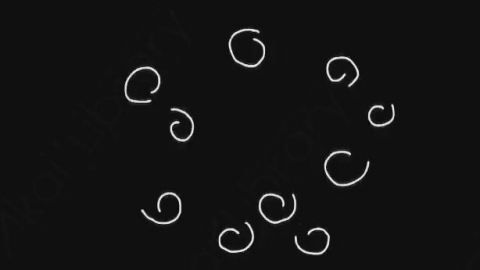 AE模板-卡通手绘螺旋线条动画元素Spirals_30