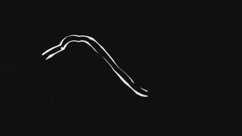 AE模板-卡通手绘液体飞溅元素Liquid_Lines_4_07