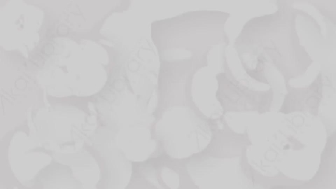 AE模板-卡通动态图形形状背景Elements-BG_Shapes_04_Stch